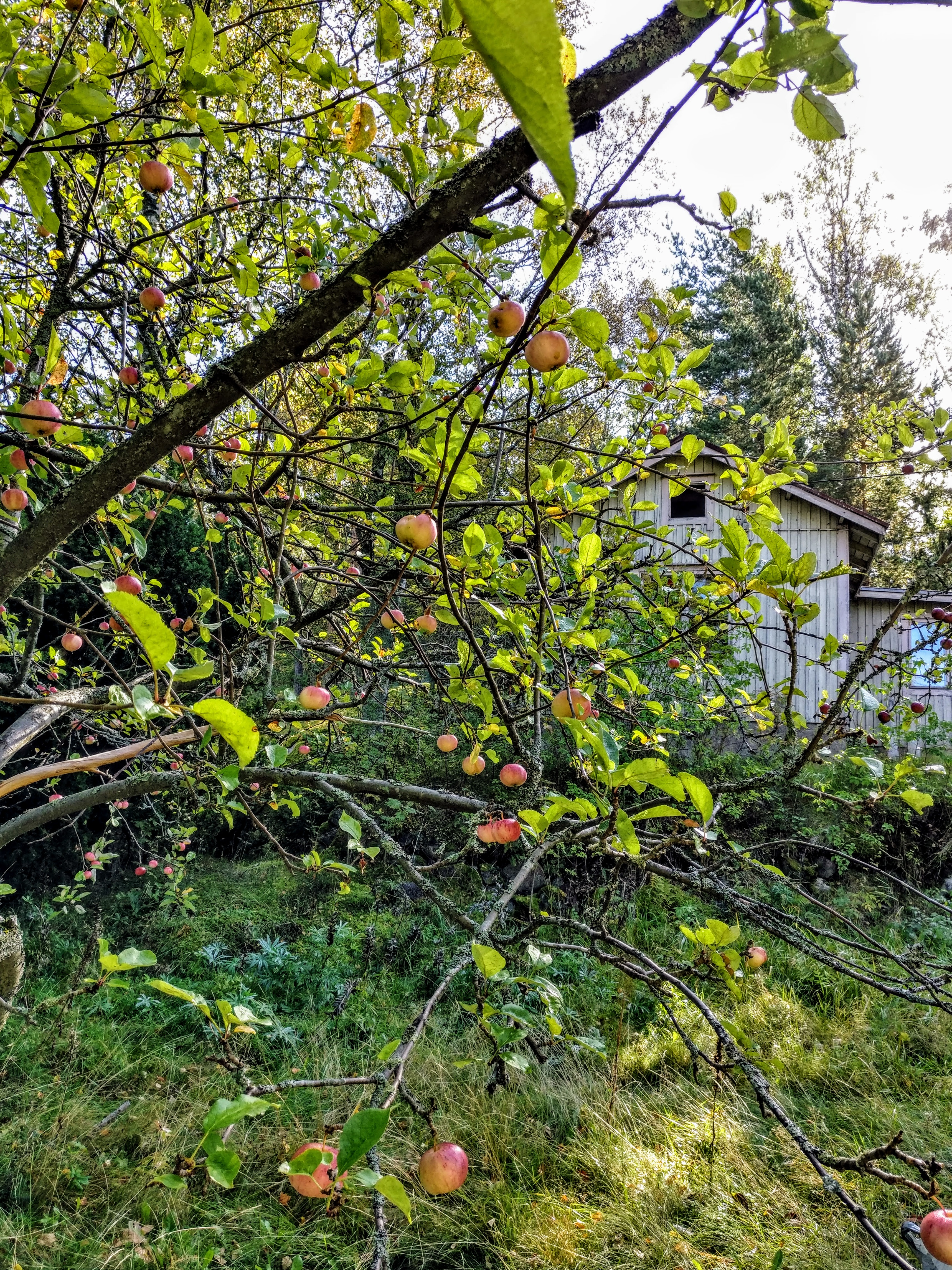 IMG_20160911_105023 (1)